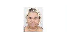 Hledaná schizofrenička Vladimíra Tilzová Hledaná schizofrenička Vladimíra Tilzová