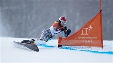 Ester Ledecká během kvalifikační jízdy obřího slalomu na olympijských hrách. Ester Ledecká během kvalifikační jízdy obřího slalomu na olympijských hrách.