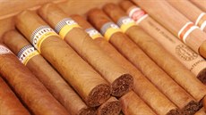 Do Evropy loni zamířilo 54 procent exportu kubánských doutníků. Do Evropy loni zamířilo 54 procent exportu kubánských doutníků.