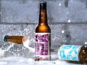 Rov pivo pro holky Pink IPA od spolenosti BrewDog