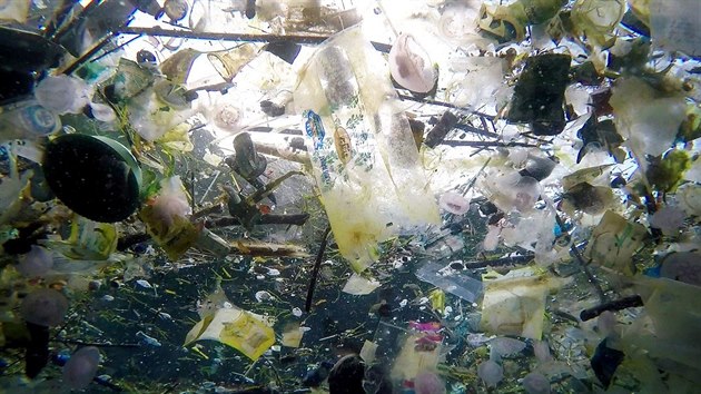 Potp nafotil moe pln plastovch odpadk u pobe indonskho turistickho resortu na Bali (6. bezna 2018).