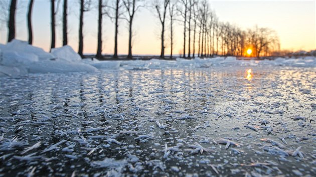 Ranní jinovatka u Nových Domk poblí Jihlavy v minus osmnácti stupních.