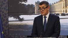 Andrej Babiš bude chtít, aby státní zástupci promluvili o GIBS Andrej Babiš bude chtít, aby státní zástupci promluvili o GIBS