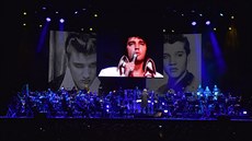 Ze show Elvis  Live on Screen