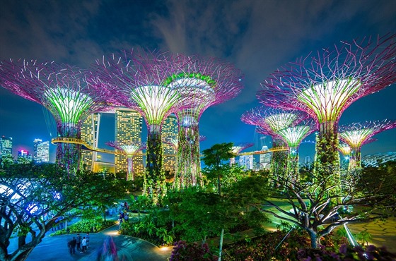 Singapurský park Gardens by the Bay. Na vandalismus tu rozhodn není místo.