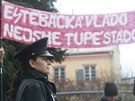 Na Andreje Babie ekala ped sdlem Libereckho kraje skupinka demonstrant...