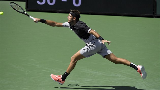 Juan Martn del Potro se natahuje po mku ve finle turnaje v Indian Wells.