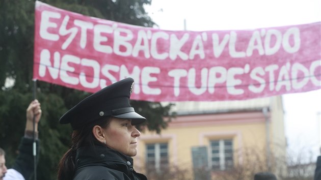 Na Andreje Babie ekala ped sdlem Libereckho kraje skupinka demonstrant (13. bezna 2018).