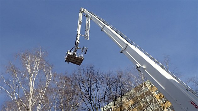 Uprchl opeenec se usadil hodn vysoko - zhruba 25 metr nad zem.