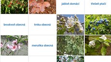 Umímefakta.cz Umímefakta.cz