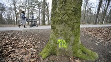 Kvůli dendrologickému průzkumu dostaly v jihlavském lesoparku Heulos číslo více... Kvůli dendrologickému průzkumu dostaly v jihlavském lesoparku Heulos číslo více...