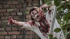 Likvidace zombií nikoho nepobuřuje a podněcuje kreativitu, vysvětloval Pentagon... Likvidace zombií nikoho nepobuřuje a podněcuje kreativitu, vysvětloval Pentagon...