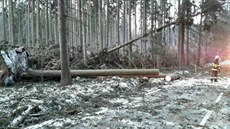 Od sobotního rána zasahovali brněnští hasiči u 99 událostí, zejména u spadených... Od sobotního rána zasahovali brněnští hasiči u 99 událostí, zejména u spadených...