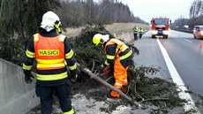 Hasiče v Olomouckém kraji zaměstnávaly hlavně popadané stromy. (17. března 2018) Hasiče v Olomouckém kraji zaměstnávaly hlavně popadané stromy. (17. března 2018)