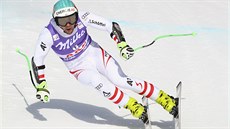 Rakouský lyžař Vincent Kriechmayr na trati superobřího slalomu v Aare. Rakouský lyžař Vincent Kriechmayr na trati superobřího slalomu v Aare.