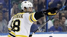 Český útočník ve službách Bostonu David Pastrňák slaví gól proti Tampě. Český útočník ve službách Bostonu David Pastrňák slaví gól proti Tampě.