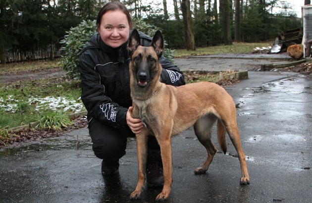 Belgický ovák malinois Cama (28. bezna 2018)