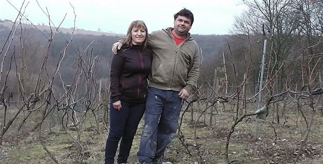 Petr Stavl zaal ve Velkém Oechov obnovovat starou vinaskou tradici.