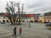 Šestice lip roste uprostřed Horního náměstí v Přerově už více než sto let,... Šestice lip roste uprostřed Horního náměstí v Přerově už více než sto let,...