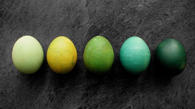 Prvn ti vejce zleva jsou nejprve nabarven kurkumou. Pot jdou k nabarven do vy ze zel a nakonec jet dostanou krtkou lze ve vod s trokou jedl sody. Dv vejce napravo vznikla z modrch vajec, kter prola krtkm namoenm ve vod s jedlou sodou.