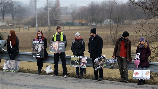 Vegant a vegetarint aktivist se seli ped branou firmy Jatky Buovice, kde protestovali proti zabjen zvat.