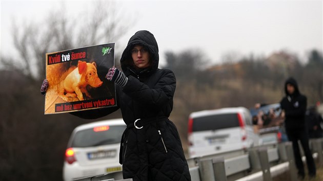 Vegant a vegetarint aktivist se seli ped branou firmy Jatky Buovice, kde protestovali proti zabjen zvat.