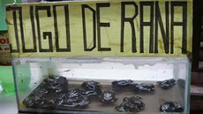 Džus z žáby je podle prodejců dobrý na stres, anémii, ale i na sexuální život. Džus z žáby je podle prodejců dobrý na stres, anémii, ale i na sexuální život.