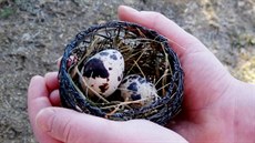 Nemusíte být úplně nadšení do neustálého dekorování vlastního bytu i okolí,... Nemusíte být úplně nadšení do neustálého dekorování vlastního bytu i okolí,...