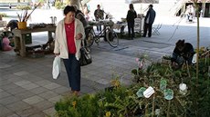 Tržnice před městským úřadem ve Vsetíně. Tržnice před městským úřadem ve Vsetíně.