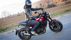 Benelli Leoncino Benelli Leoncino