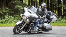 Managing Director Harley Davidson Strategic Growth Markets v regionu EMEA ... Managing Director Harley Davidson Strategic Growth Markets v regionu EMEA ...