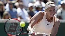 Petra Kvitová na turnaji v Miami Petra Kvitová na turnaji v Miami