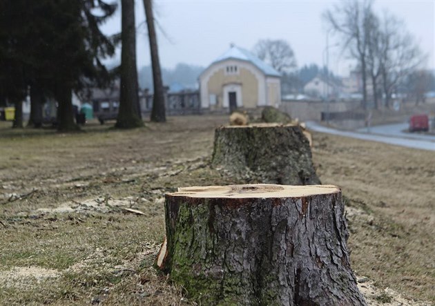 Na nejvtí zmnu si musejí zvykat obyvatelé Novomstské a Jamské ulice. Bhem...