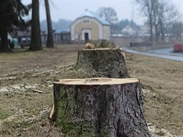 Na nejvt zmnu si musej zvykat obyvatel Novomstsk a Jamsk ulice. Bhem...