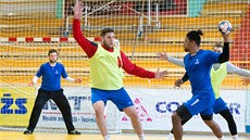 Trénink českých házenkářů v Zubří. Trénink českých házenkářů v Zubří.
