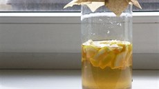 Slupky z citronu s octem uzavřete do sklenice a skladujte na temném místě. Slupky z citronu s octem uzavřete do sklenice a skladujte na temném místě.