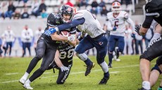 Jan Štiegler se probíjí obranou Prague Lions Jan Štiegler se probíjí obranou Prague Lions