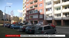 Muž vyhodil svého psa z devátého patra paneláku Muž vyhodil svého psa z devátého patra paneláku