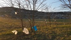 Odpadky ze skládky u Žabčic létají metry daleko Odpadky ze skládky u Žabčic létají metry daleko