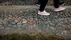 Unikátní historický chodník v ulici Jana Koziny v Hradci Králové. Unikátní historický chodník v ulici Jana Koziny v Hradci Králové.