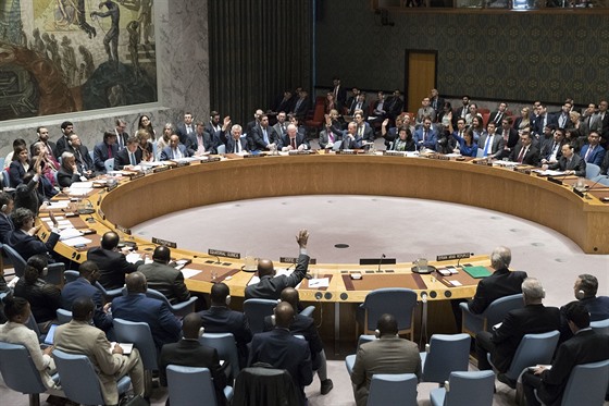 Mimoádné zasedání Rady bezpenosti OSN kvli útoku USA, Británie  a Francie na...