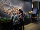 Téměř 40 druhů štírů vystavuje pražská zoo do neděle 27. května 2018 v galerii v Gočárových domech.
Téměř 40 druhů štírů vystavuje pražská zoo do neděle 27. května 2018 v galerii v Gočárových domech.