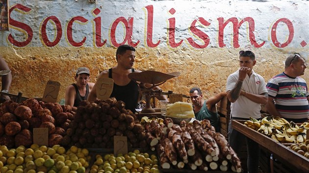 Poulin trh v Havan (20. prosince 2014)