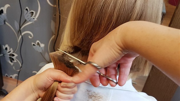 Desetilet Zuzanka se rozhodla, e si nech osthat vlasy a vnuje je na vrobu paruk pro onkologicky nemocn dti.