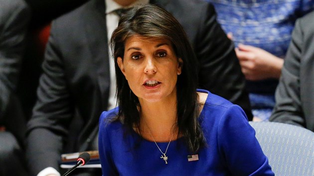 Velvyslankyn Spojench stt v OSN Nikki Haleyov hovo bhem mimodn schzky Rady bezpenosti OSN v New Yorku. (14. dubna 2018)