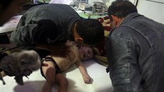 Syrské msto Dúmá, které je pod kontrolou radikál, se údajn v sobotu stalo...