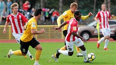 Žižkovský útočník Augusto Batioja prohání sokolovské soupeře. Žižkovský útočník Augusto Batioja prohání sokolovské soupeře.