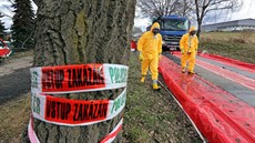 Na Chebsku začala likvidace dvou chovů drůbeže kvůli ptačí chřipce. Na Chebsku začala likvidace dvou chovů drůbeže kvůli ptačí chřipce.