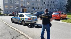 Psychicky nemocný muž postřelil v Domažlicích dva policisty Psychicky nemocný muž postřelil v Domažlicích dva policisty