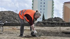 V jihlavských Starých Horách se dříve nacházela středověká důlní aglomerace,... V jihlavských Starých Horách se dříve nacházela středověká důlní aglomerace,...